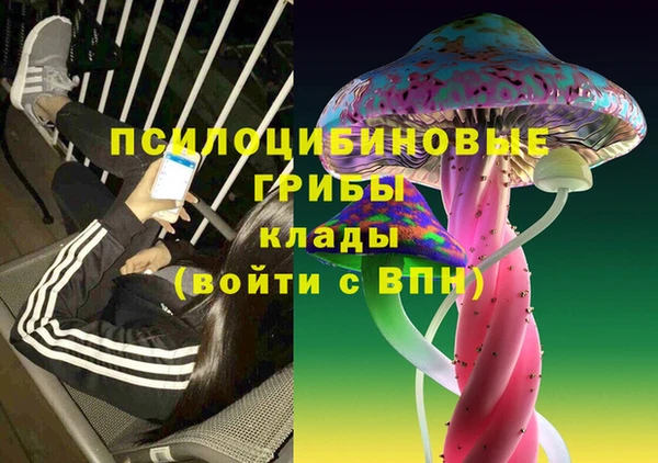 2c-b Вязники